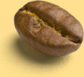 Seed